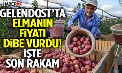 Gelendost’ta Elmanın Fiyatı Dibe Vurdu! İşte Son Rakam