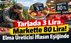 Tarlada 3 Lira, Markette 80 Lira! Elma Üreticisi İflasın Eşiğinde