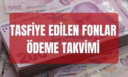 Tasfiye Edilen Fonlar Ne Zaman Ödenecek?