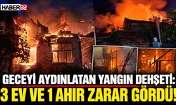 Alevler Geceyi Aydınlattı: 3 Ev Ve 1 Ahır Hasar Gördü!