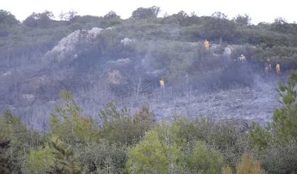 Bucak'taki orman yangını kontrol altına alındı