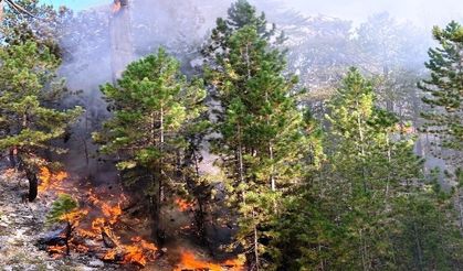 Burdur'daki orman yangını büyümeden söndürüldü