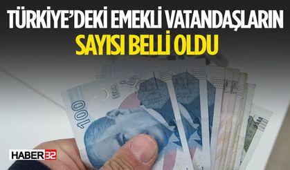 Türkiye'de Emekli Sayısı Açıklandı