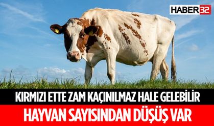 Türkiye'de Hayvan Varlığı Düşüşte