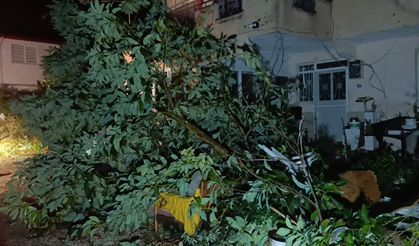 Hortum Manavgat'ı savaş alanına çevirdi