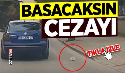 Çirkin Görüntü: Camı Açıp Yola Savurdu!