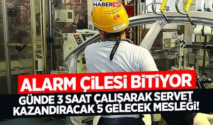 Günde 3 Saat Çalışarak Servet Kazandıracak 5 Gelecek Mesleği!