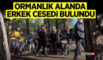 Ormanlık alanda erkek c*s*di bulundu