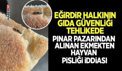 Pınar Pazarından Alınan Ekmekten Hayvan Pisliği İddiası