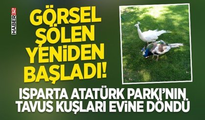 Isparta Atatürk Parkı’nın Tavus Kuşları Evine Döndü