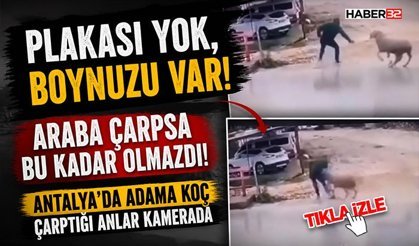 Araba Çarpsa Bu Kadar Olmazdı! - Plakası Yok, Boynuzu Var!