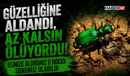 Güzelliğine Aldandı, Az Kalsın Ölüyordu!