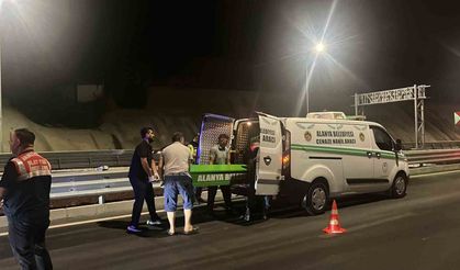 Alanya'da motosiklet bariyerlere çarptı, sürücü hayatını kaybetti