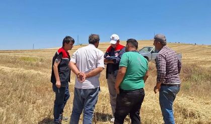 Burdur'da biçerdöverler denetleniyor