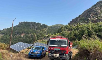 Gazipaşa'da çıkan yangın büyümeden söndürüldü