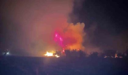 Serik'te çıkan orman yangınına ilk müdahaleyi vatandaşlar yaptı