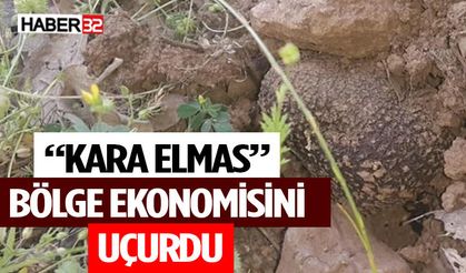 “Kara Elmas” Bölge Ekonomisini Uçurdu