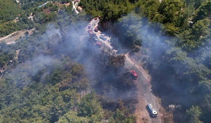 Alanya'da orman yangını 3 saatte kontrol altına alındı