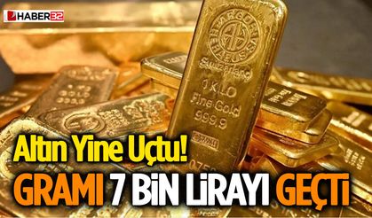 Altın Yine Uçtu! Gramı 7 Bin Lirayı Geçti