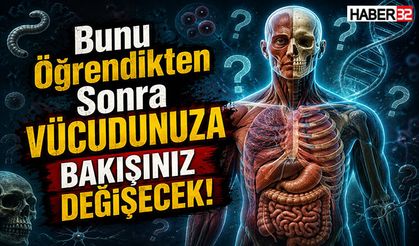 Bunu Öğrendikten Sonra Vücudunuza Bakışınız Değişecek!