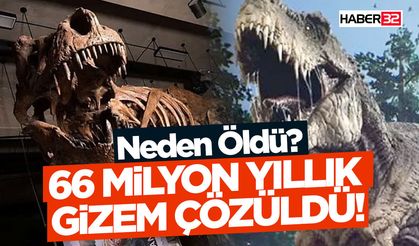 Dünyanın En Büyük T-Rex'i Nasıl Neden Öldü?