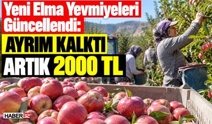 Yeni Elma Yevmiyeleri Güncellendi: Artık 2000 TL