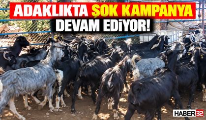 Adaklıkta Şok Kampanya Devam Ediyor! Seç - Al: 9 Bin TL