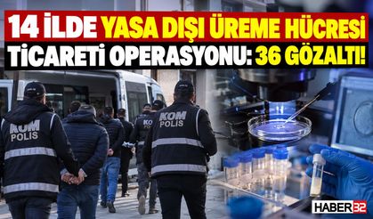 Yasa Dışı Üreme Hücresi Operasyonu!