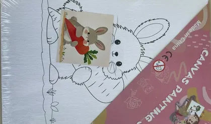 Çocuğunuzun Boya Setini Kontrol Edin!