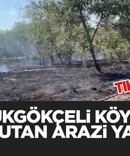 Büyük Gökçeli Köyünde Korkutan Arazi Yangını