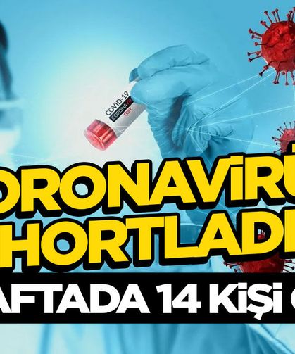 Koronavirüs Hortladı: Bir Haftada 14 Kişi Öldü!