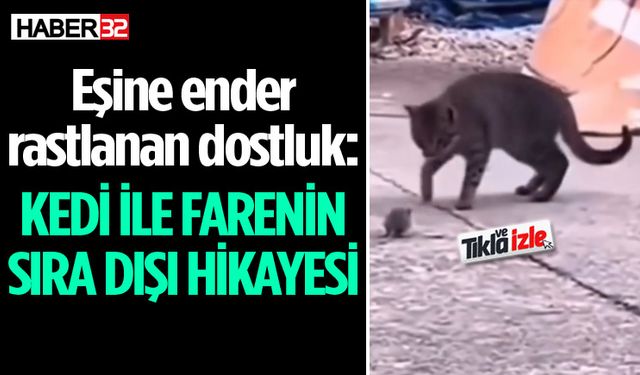 Isparta’da eşine ender rastlanan dostluk, görenleri şaşırttı