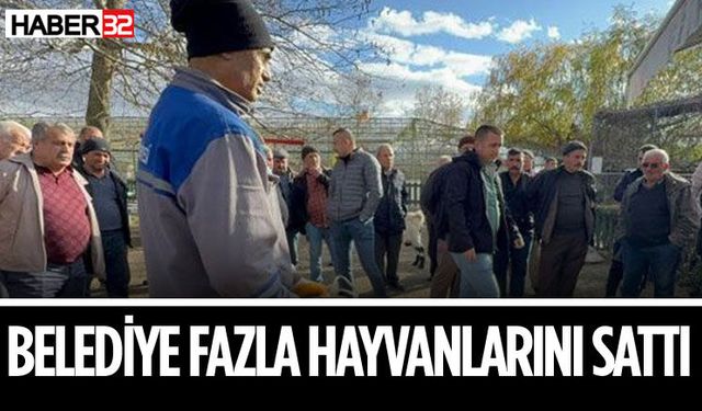 Belediye Fazla Hayvanlarını Sattı