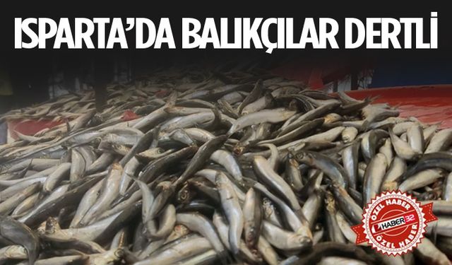 Isparta'da Balık Satışları Durgunlaştı