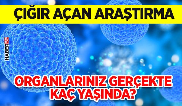 Organlarınız Gerçekte Kaç Yaşında?