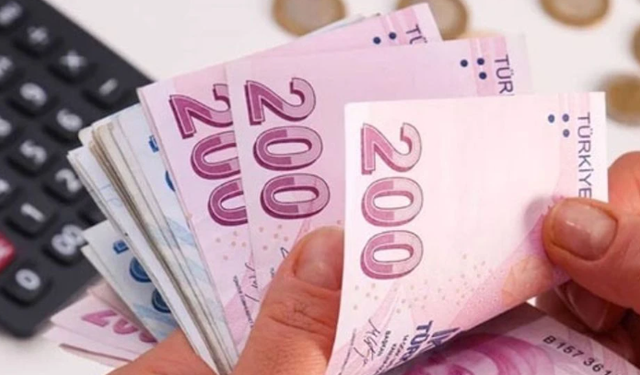 Emeklilik Hayatınızda Bütçenize Katkı