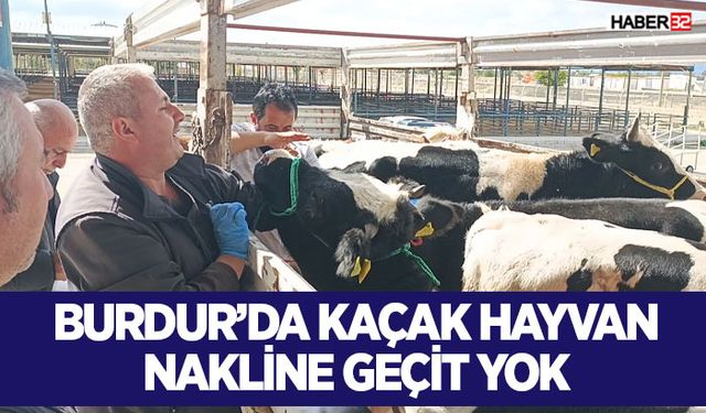 Burdur’da Kaçak Hayvan Nakline Geçit Yok