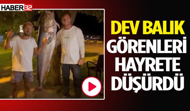 Antalya'da yakalanan dev balık görenleri şaşırttı!