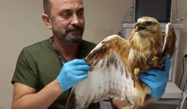 Veteriner Hekim Uğur Cem Tahmaz Kimdir, Neden Öldü?