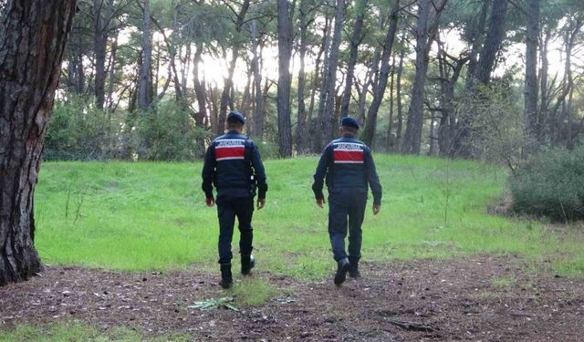 Jandarmadan ormanlık alanlarda kangal ve ateş nöbeti