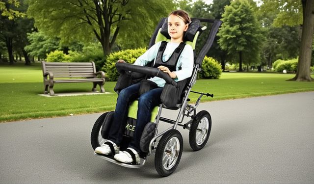 Engelli Puseti Satın Alma Rehberi