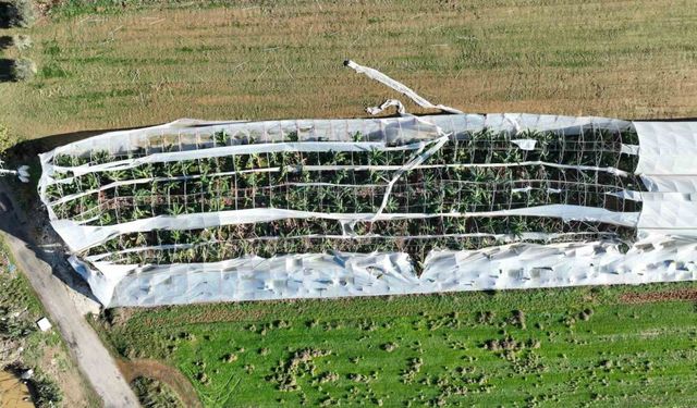 Antalya’da hortumun seralara verdiği zararın boyutu gün yüzüne çıktı
