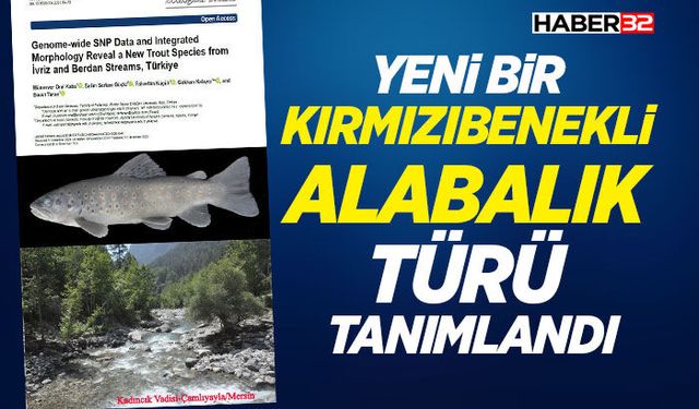 Yeni bir Kırmızıbenekli Alabalık Türü Tanımlandı