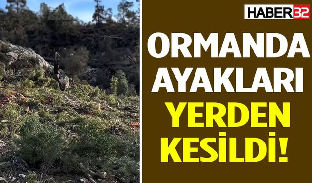 Kurulan Düzenek Sosyal Medyada Gündem Oldu