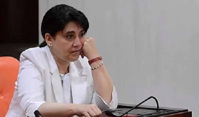 Leyla Zana Ne Yaptı?