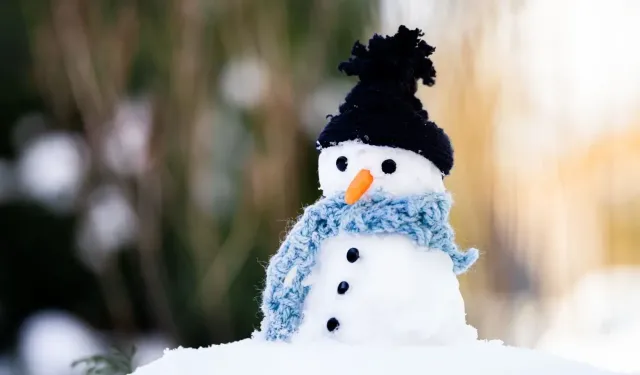 Bugün 29 Aralık Pazartesi İstanbul’da okul yok mu (KAR TATİLİ – İSTANBUL VALİLİĞİ)?