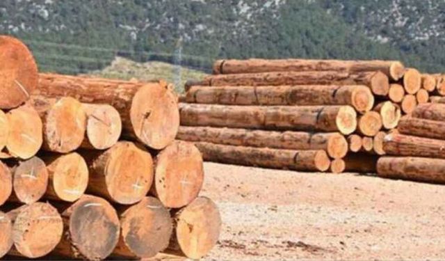 Orman Emvali İstifleme Hizmeti Alınacaktır