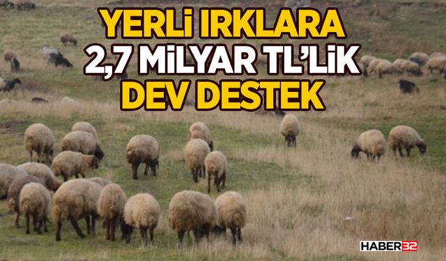 Yerli Irklara 2,7 Milyar TL’lik Dev Destek