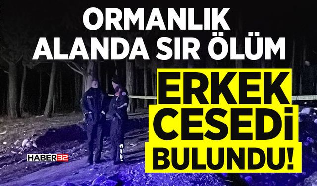 Ormanlık Alanda Sır Ölüm: Erkek C*sedi Bulundu!