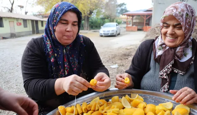 Çöpe atılıyordu şimdi altın değerinde: Köylünün yüzünü güldüren o mucizenin kilosu 300 liraya fırladı
